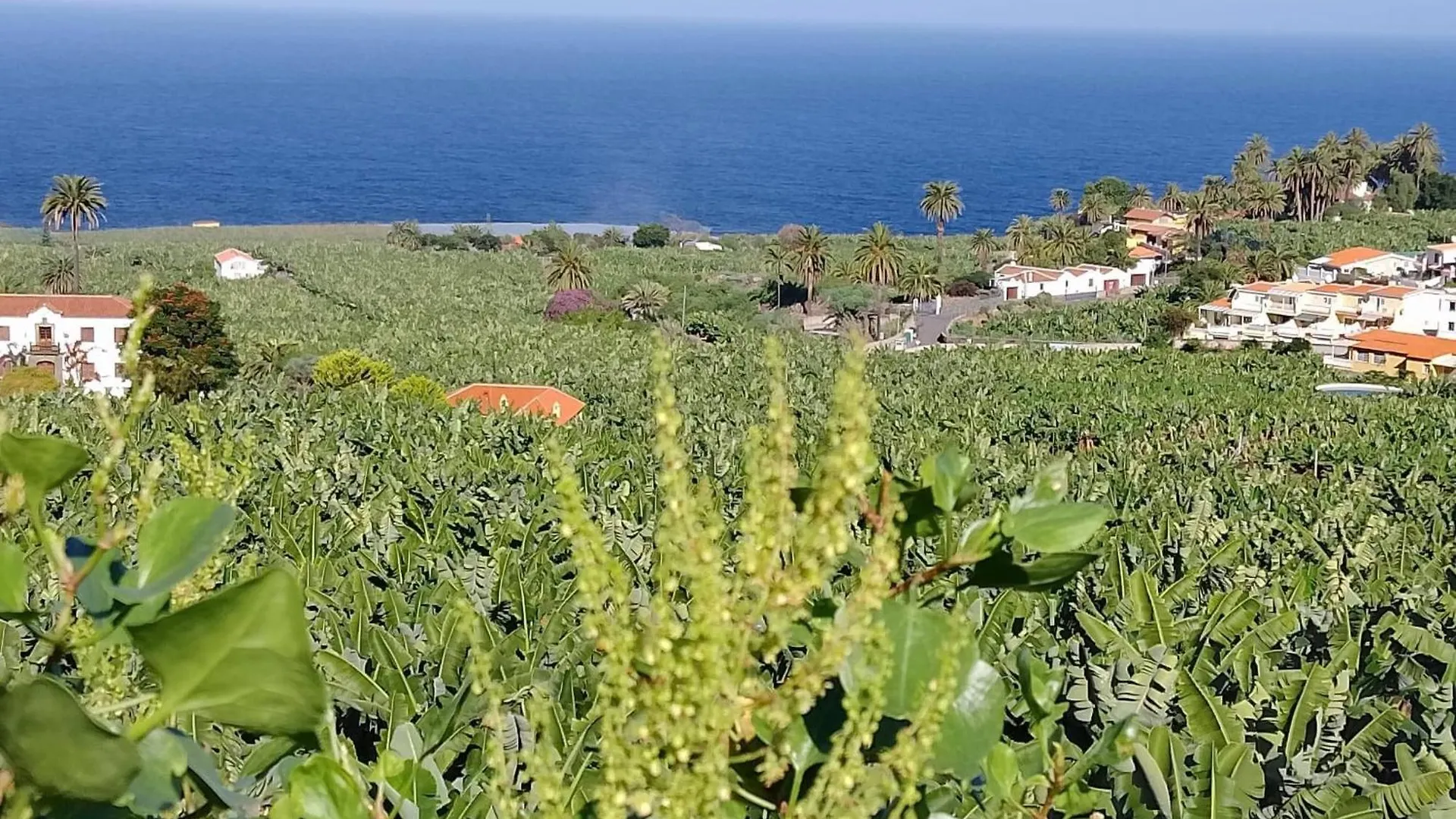 San Felipe House With Views Of Teide Apartment Icod De Los Vinos